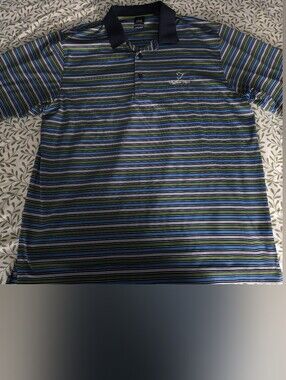 Striped Men’s Polo Shirt in Blue and Green